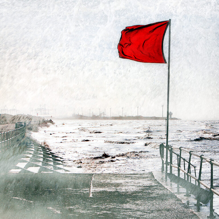 red-flag ,BERNARD,,PORTFOLIO