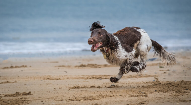 Fun At The Beach,, Rob,r esults gallery