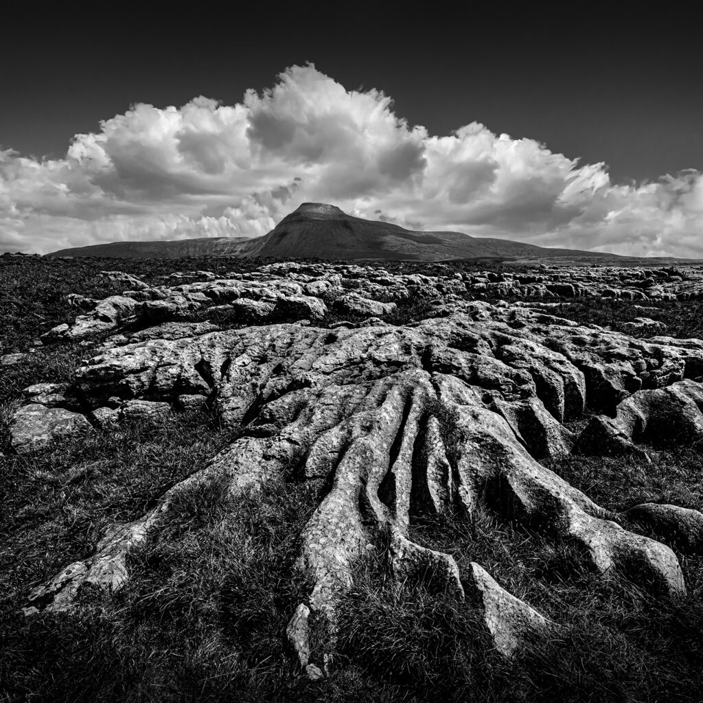 ingleborough from twisleton scar, tillman, critique, top shot, oct 22