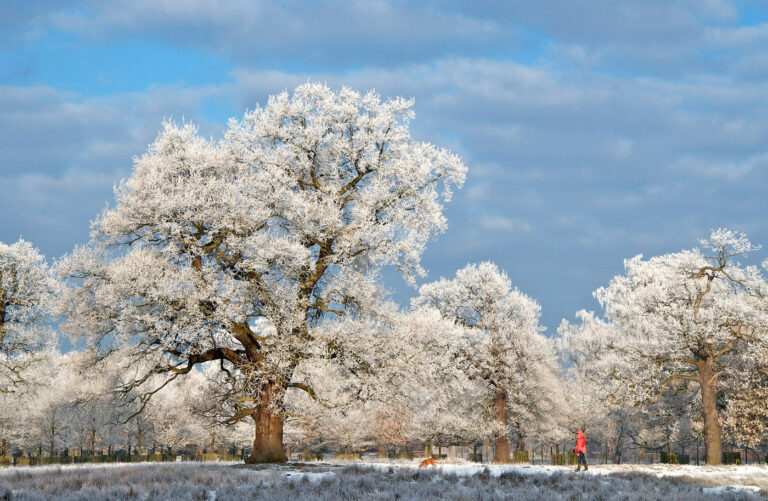 Hoar frost at Dunham,, members night , colin, results gallery,colin, portfolio