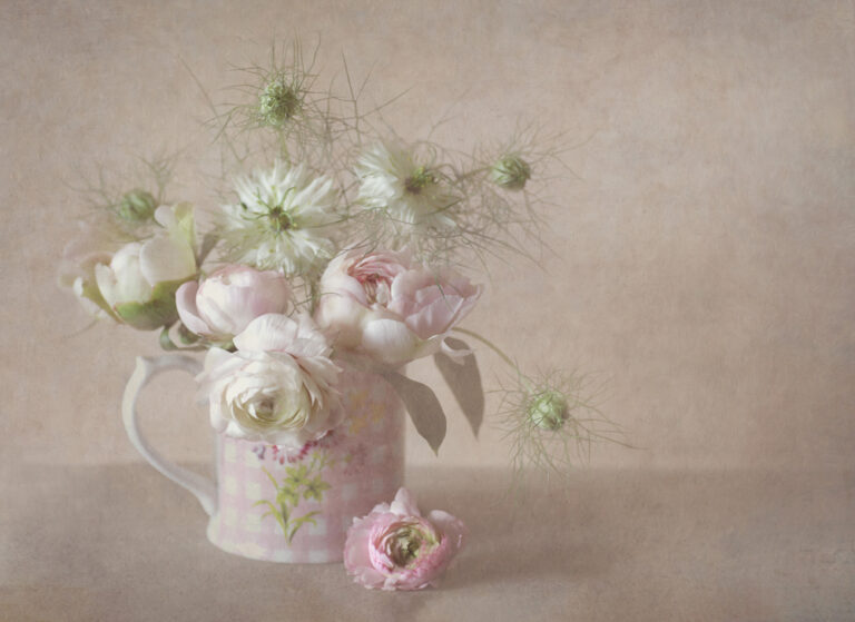 nigella-and-ranunculus, gallery, kath